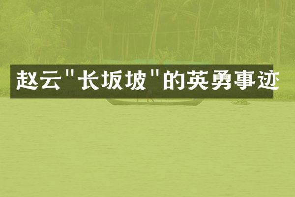 赵云"长坂坡"的英勇事迹