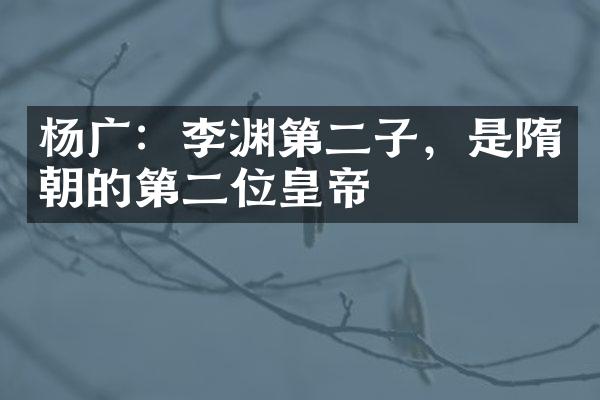 杨广：李渊第二子，是隋朝的第二位皇帝