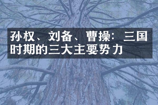 孙权、刘备、曹操：三国时期的三大主要势力