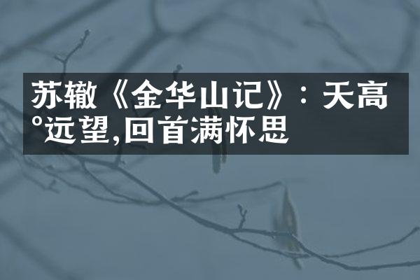 苏辙《金华山记》: 天高地远望,回首满怀思