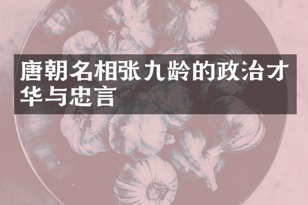 唐朝名相张九龄的政治才华与忠言