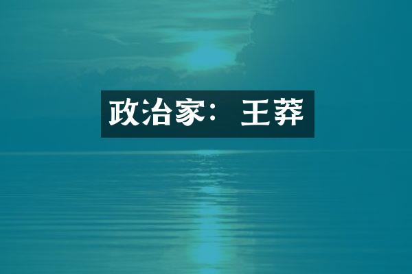 政治家：王莽