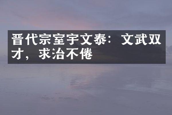 晋代宗室宇文泰：文武双才，求治不倦