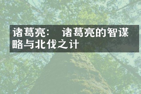 诸葛亮： 诸葛亮的智谋军略与北伐之计