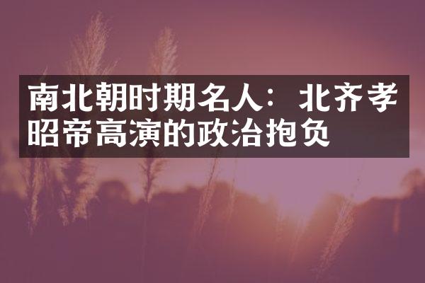 南北朝时期名人：北齐孝昭帝高演的政治抱负