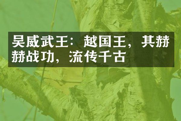吴威武王：越国王，其赫赫战功，流传千古