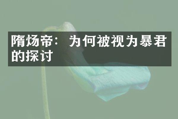 隋炀帝：为何被视为暴君的探讨