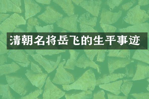 清朝名将岳飞的生平事迹
