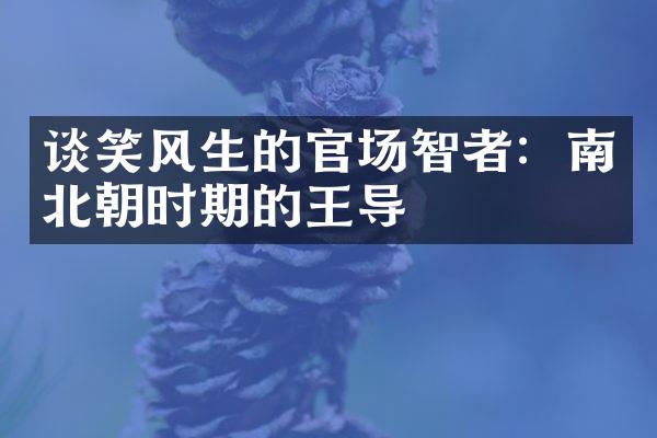 谈笑风生的官场智者：南北朝时期的王导
