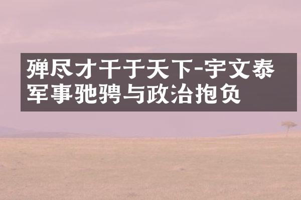 殚尽才干于天下-宇文泰的军事驰骋与政治抱负