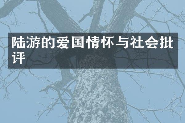 陆游的爱国情怀与社会批评