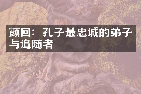 颜回：孔子最忠诚的弟子与追随者