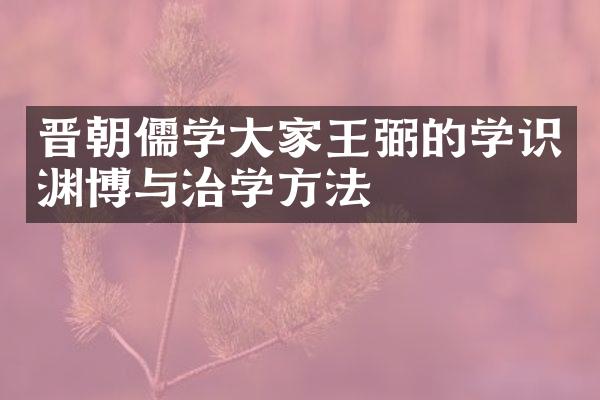 晋朝儒学大家王弼的学识渊博与治学方法