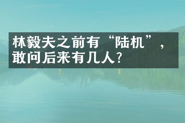 林毅夫之前有&ldquo;陆机&rdquo;，敢问后来有几人？
