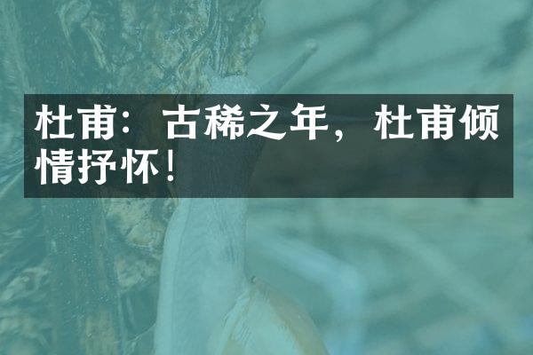 杜甫：古稀之年，杜甫倾情抒怀！