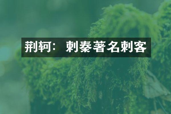 荆轲：刺秦著名刺客