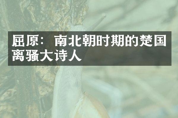 屈原：南北朝时期的楚国离骚大诗人