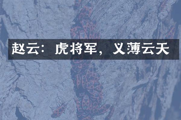 赵云：虎将军，义薄云天