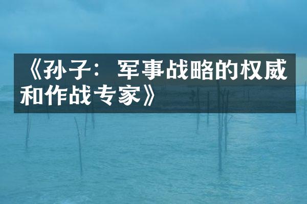 《孙子：军事战略的权威和作战专家》