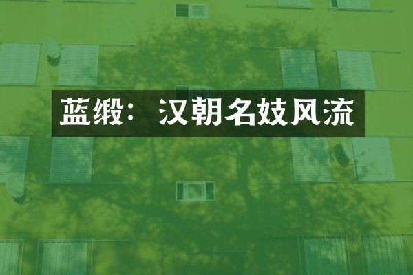 蓝缎：汉朝名妓风流