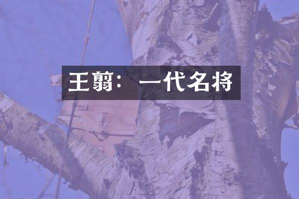 王翦：一代名将