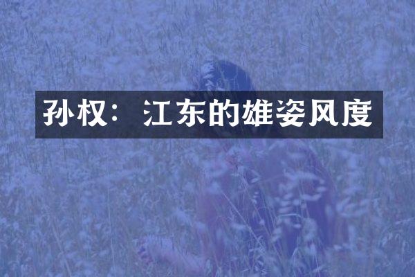孙权：江东的雄姿风度