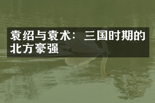 袁绍与袁术：三国时期的北方豪强