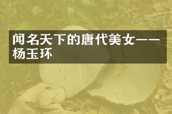闻名天下的唐代美女&mdash;&mdash;杨玉环