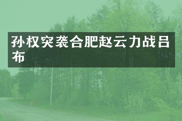 孙权突袭合肥赵云力战吕布