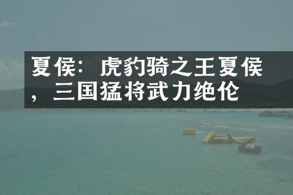 夏侯惇：虎豹骑之王夏侯惇，三国猛将武力绝伦