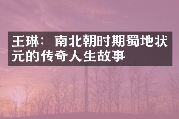 王琳：南北朝时期蜀地状元的传奇人生故事