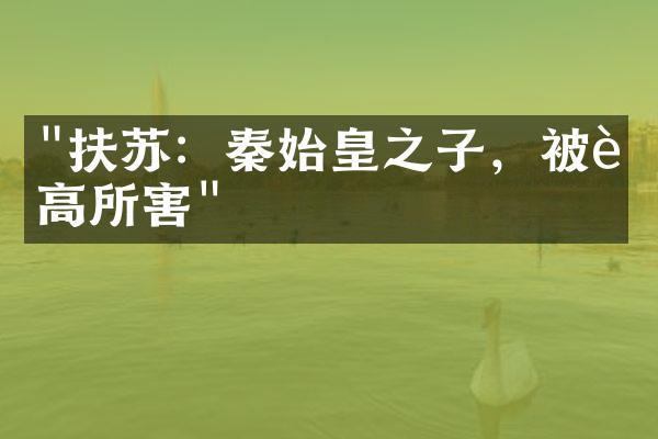 "扶苏：秦始皇之子，被赵高所害"