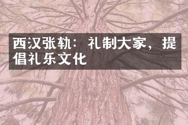 西汉张轨：礼制大家，提倡礼乐文化