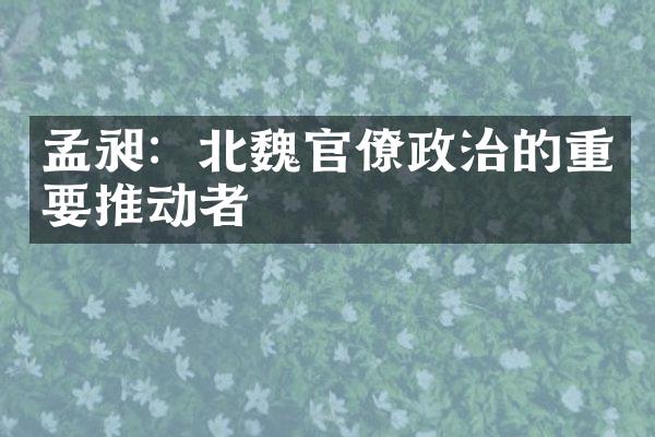 孟昶：北魏官僚政治的重要推动者