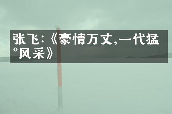 张飞:《豪情万丈,一代猛将风采》