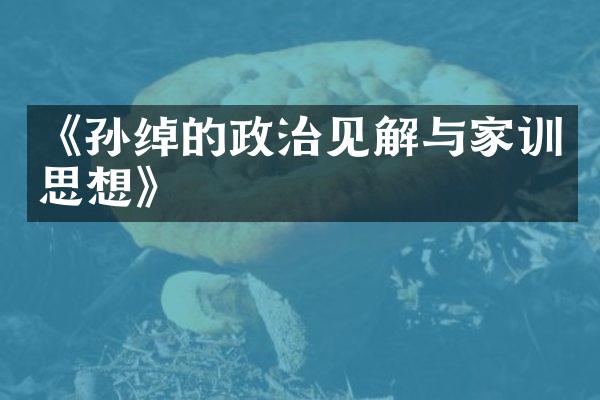 《孙绰的政治见解与家训思想》