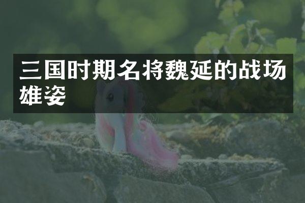三国时期名将魏延的战场雄姿