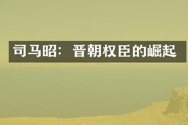 司马昭：晋朝权臣的崛起