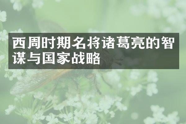 西周时期名将诸葛亮的智谋与国家战略