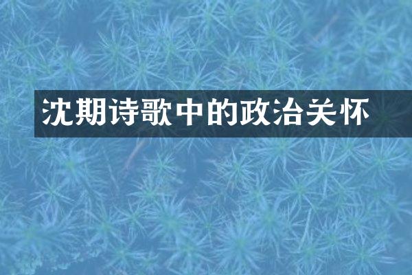 沈佺期诗歌中的政治关怀