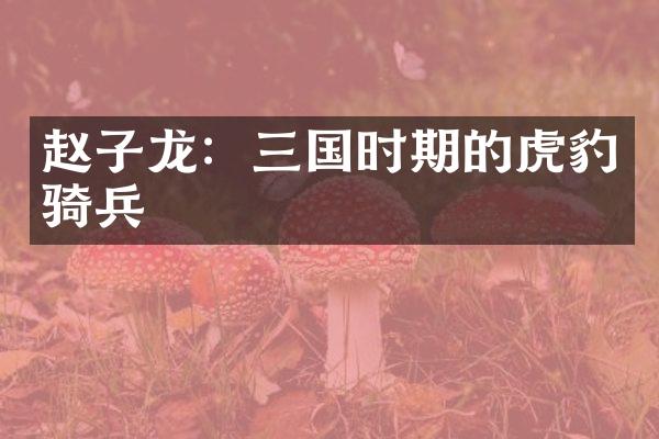 赵子龙：三国时期的虎豹骑兵