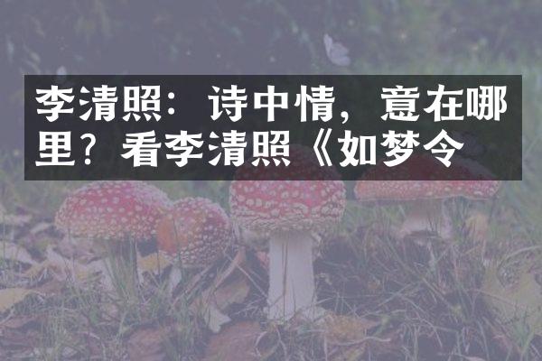 李清照：诗中情，意在哪里？看李清照《如梦令》