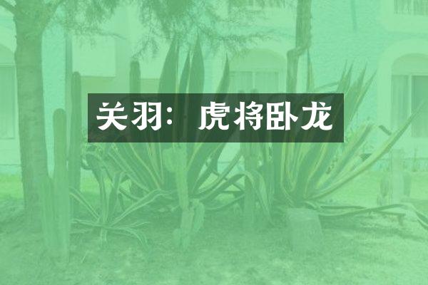 关羽：虎将卧龙