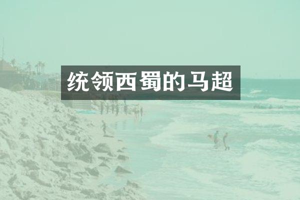 统领西蜀的马超