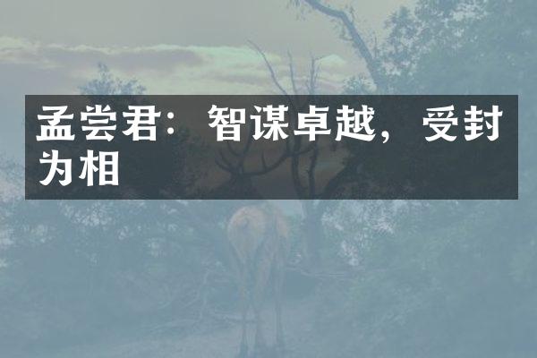 孟尝君：智谋卓越，受封为相