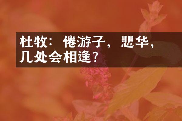 杜牧：倦游子，悲华髮，几处会相逢？