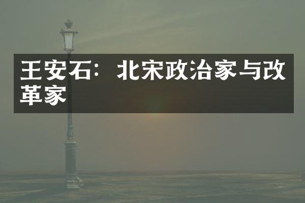 王安石：北宋政治家与改革家