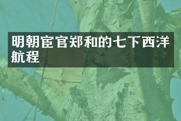 明朝宦官郑和的七下西洋航程