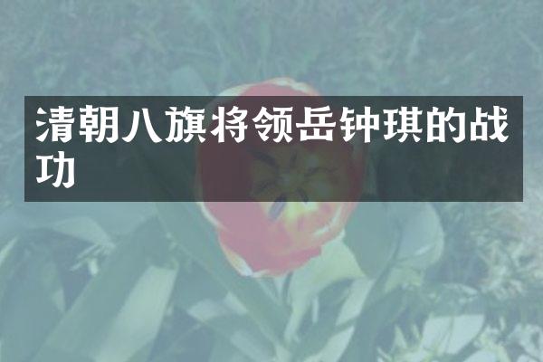 清朝八旗将领岳钟琪的战功