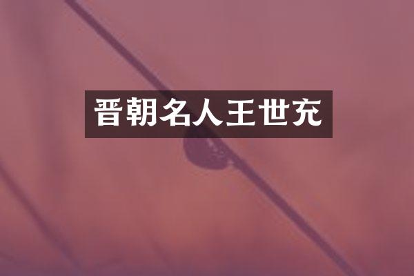 晋朝名人王世充